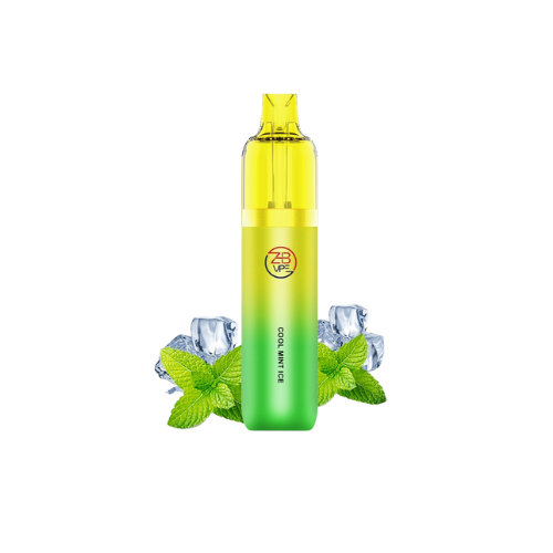 ZHB 10K Vape Kit Cool Mint