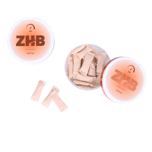 ZHB Snus Tropical 15mg
