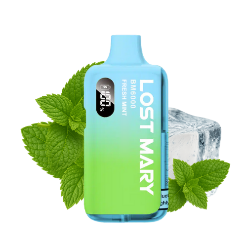 Lost Mary BM 6000 Vape Kit Fresh Mint