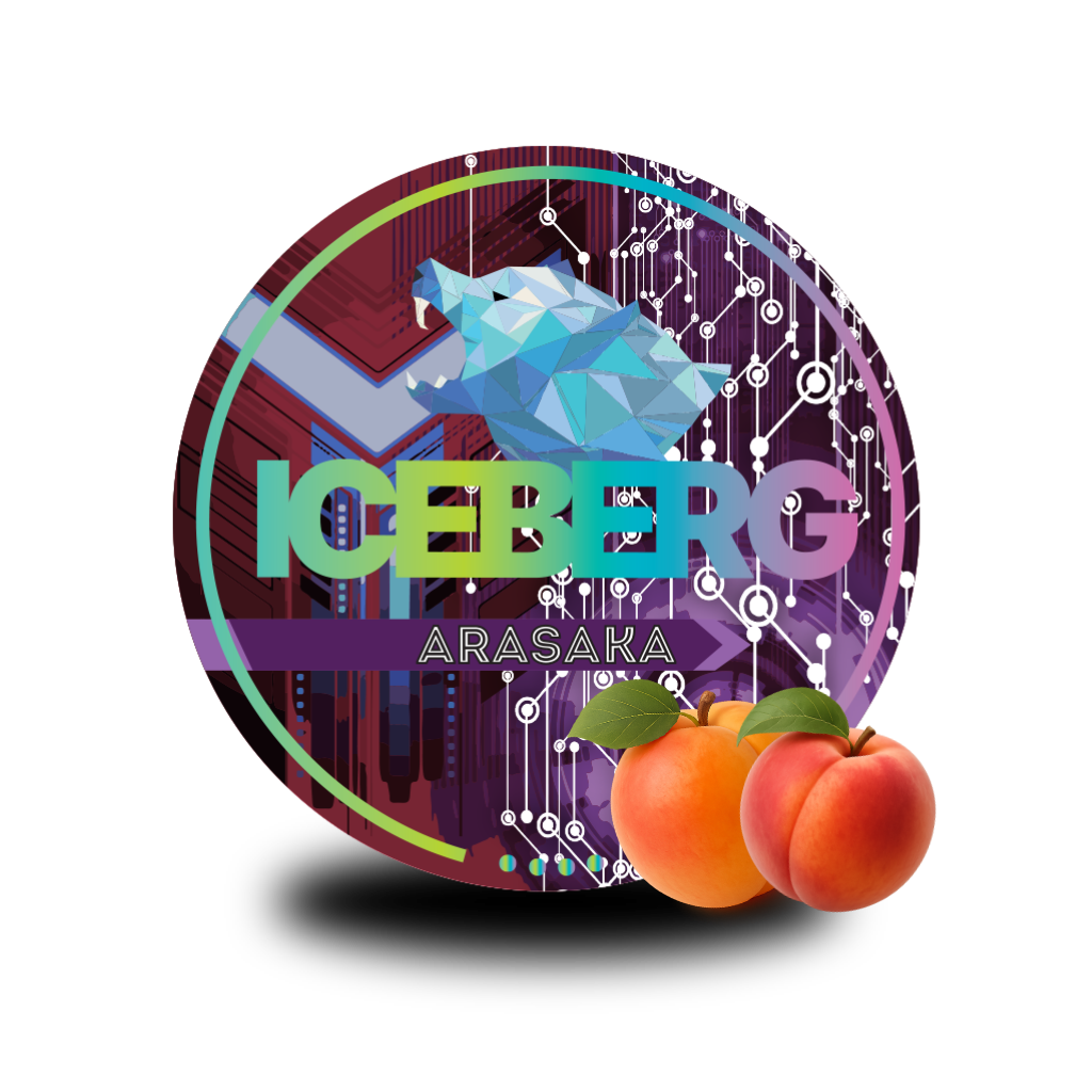 Iceberg Arasaka